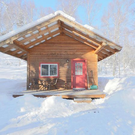 Spruce Cabin Talkeetna Extérieur photo