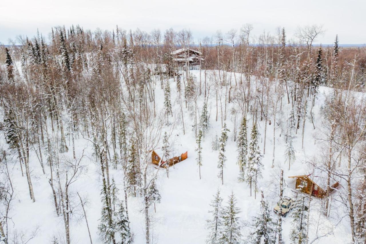 Spruce Cabin Talkeetna Extérieur photo